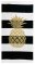 Oboustranná plážová osuška Lovely Home Golden Ananas