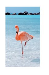 Plážová osuška Lovely Home 12047 Flamingo